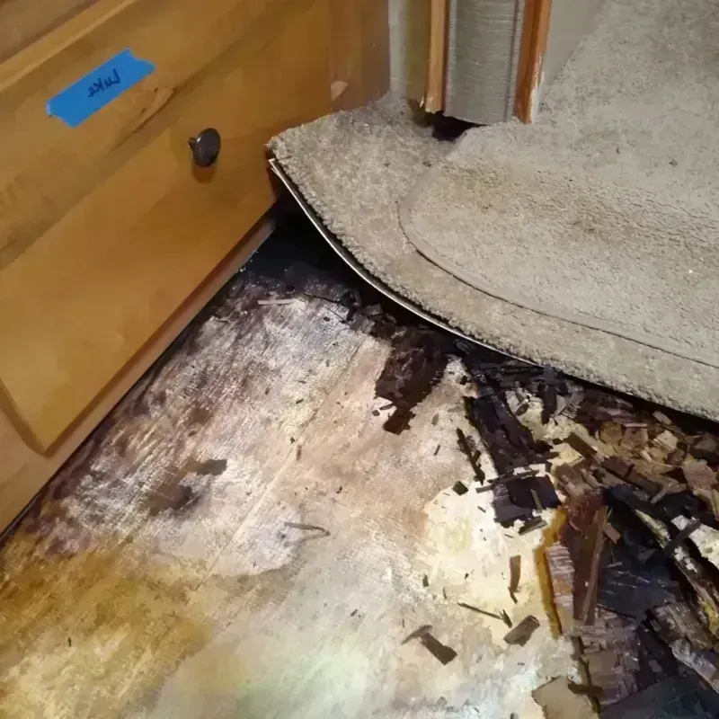 Best Wood Floor Water Damage Service in Stone County, MS